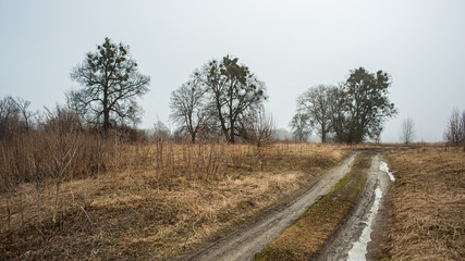 Fototapeta na wymiar dirt road with snow rest on the background of trees in the meadow. Early spring.