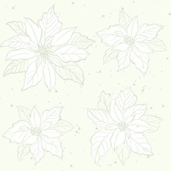 Vector off white seamless floral pattern with flowers of Poinsettia. Gray silver light colors.