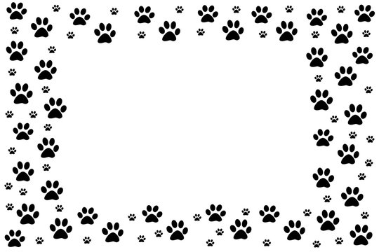 Frame paw prints of animals. Cat steps are drawn to decorate the backgrounds.