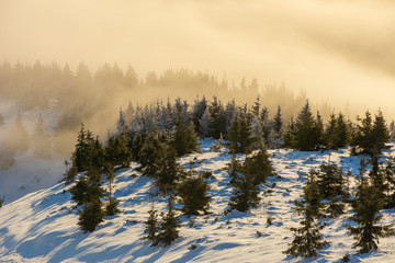 Traveling tourists on the snowy winter mountain ranges of the Ukrainian Carpathians with beautiful views of the evening peaks.