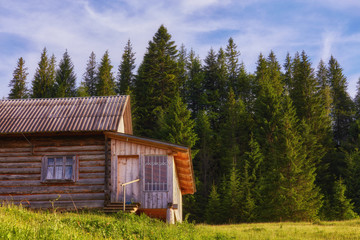 Obraz premium A wooden house on a green meadow in mountains. A house near old forest.