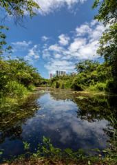 Fototapeta premium Coco park landscapes in Fortaleza Brazil