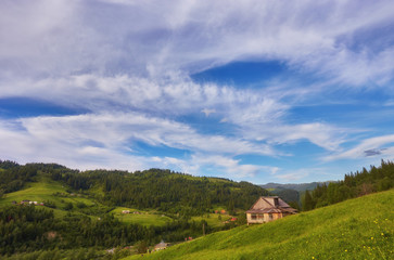 Fototapeta na wymiar A wooden house on a green meadow in mountains. A house near old forest.