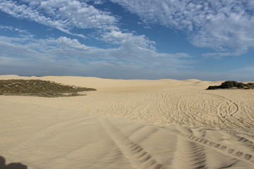 sand dunes in the desert