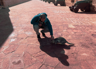 Chico joven acariciando con gato callejero en la calle