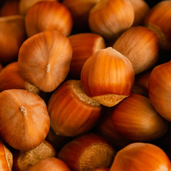 Close-up shot of hazelnuts, as a background. Filberts or noisettes