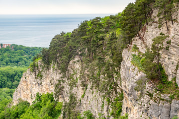 Mountain with a steep rocky slope and valley with thick green forest below.