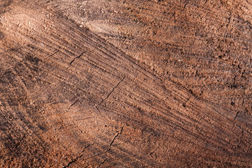 texture background aged wood close-up