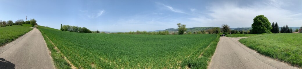 rural landscape with road and blue sky