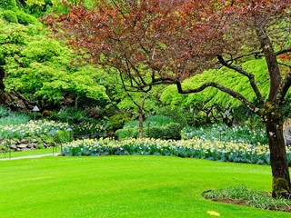 Springtime garden