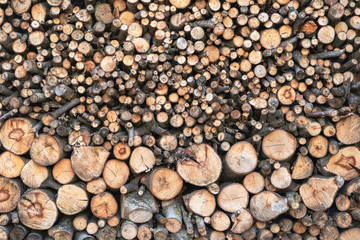 Pile of wooden sawn logs with cross section of the timber close-up , firewood stack, ecologik background or texture