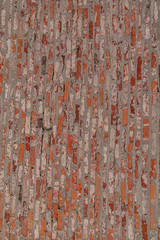 texture of old wall