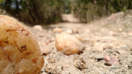 Stone of  Backwoods