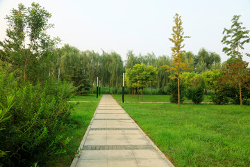 slate road in the park