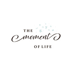 Logo template with star icon. Premade logotypes for entrepreneurs. Vector logo design