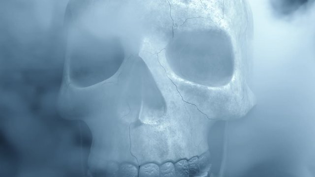 Textured skeleton skull in smoke, The concept of horror. 3d redner