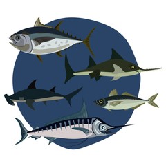Naklejka premium set a vector of fishes on a white background the ocean