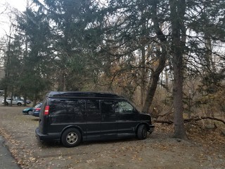 car on the road and forest 