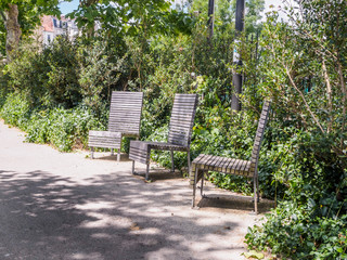 wooden bench in a park