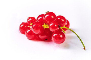 Fresh washed berries of red currant.with water drops on the background