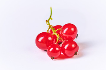 Fresh washed berries of red currant on the background