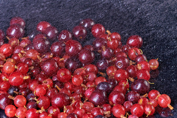 Fresh washed berries gooseberries and cherries with drops of water