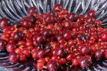 Fresh washed berries gooseberries and cherries with drops of water