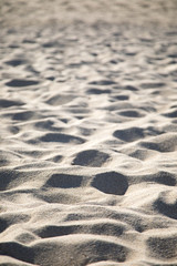 Side view on a sandy beach