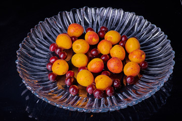 Fresh washed apricots fruits with water drops on the table