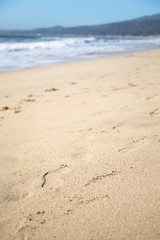Fototapeta na wymiar Footprints on a sandy beach with space for text on top