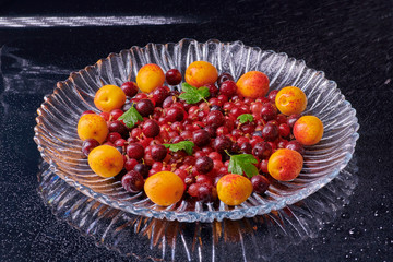 Fresh washed apricots fruits with water drops on the table