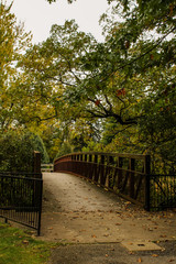 Fototapeta na wymiar Foot Bridge In Early Autumn Forest