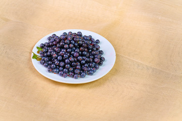 Fresh washed blueberries on table