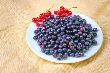 Fresh washed blueberries on table