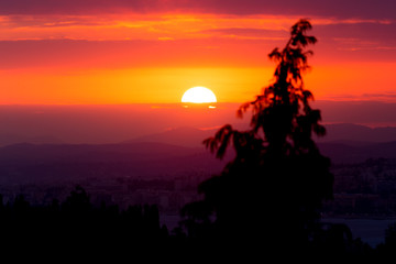 Fototapeta premium Captivating Sunset Over the Horizon with Low Clouds and Out-of-Focus Tree in Foreground