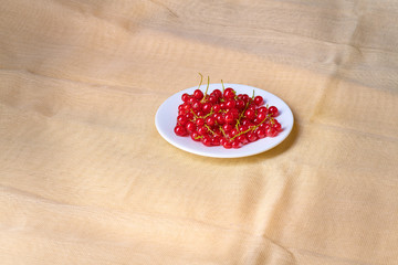 Fresh washed berries of red currant on the background