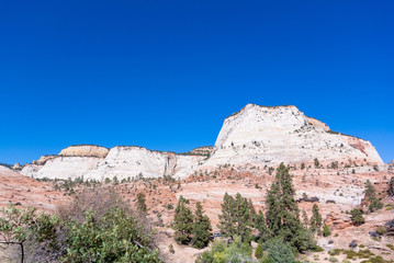 Fototapeta na wymiar ZION, Utah/ united states of America-October 3rd 2019: landscape with erosion along ZION MOUNT CAMEL HIGHWAY