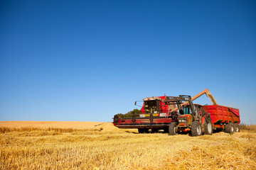 Moissonneuse et tracteur récoltant le blé dans les champs.