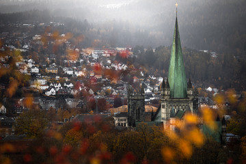 Green roof of a tower of Nidarosdomen cathedral in Trondheim, Norway