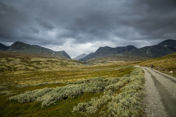 Lonely hiker on the road to Rondvasbu tourist shelter.