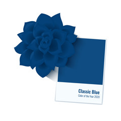 Color of the Year 2020. Classic Blue. New trendy colour palette shade of azure. Vector illustration of catalogue book swatch sample and a succulent plant.