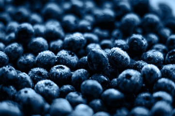 Blueberries blue background