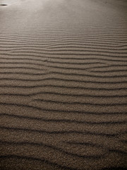 Fototapeta na wymiar Sand in the sun perfect texture