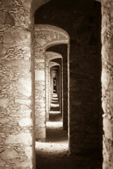 T&uacute;nel enfriador