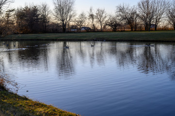 Fototapeta na wymiar Reflection of trees in lake