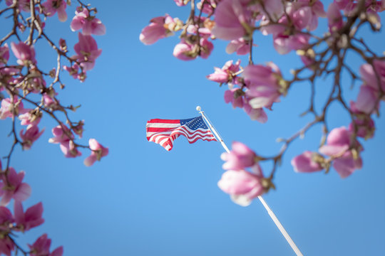 American Flag in Springtime