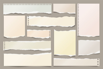 White ripped paper strips collection. Realistic paper scraps with torn edges. Sticky notes, shreds of notebook pages. Vector illustration.