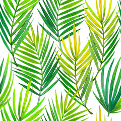 Seamless pattern with watercolor tropical plants. Beautiful illustration with green leaves on white background. Summer composition with palm leaves.