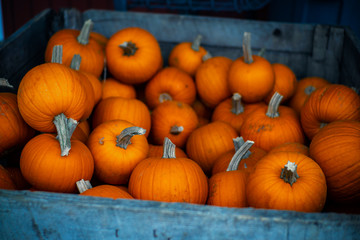 Pumpkins In Wooden Crate At Traditional Farmers Market