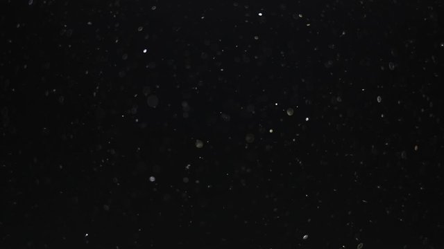 particles on black background, abstract overlay with particles and bokeh